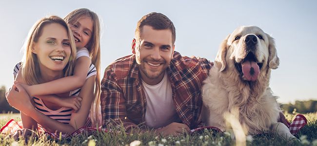 A family laying in a field with their dog