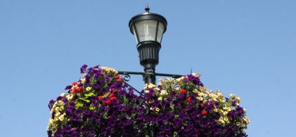 lamp post with flowers